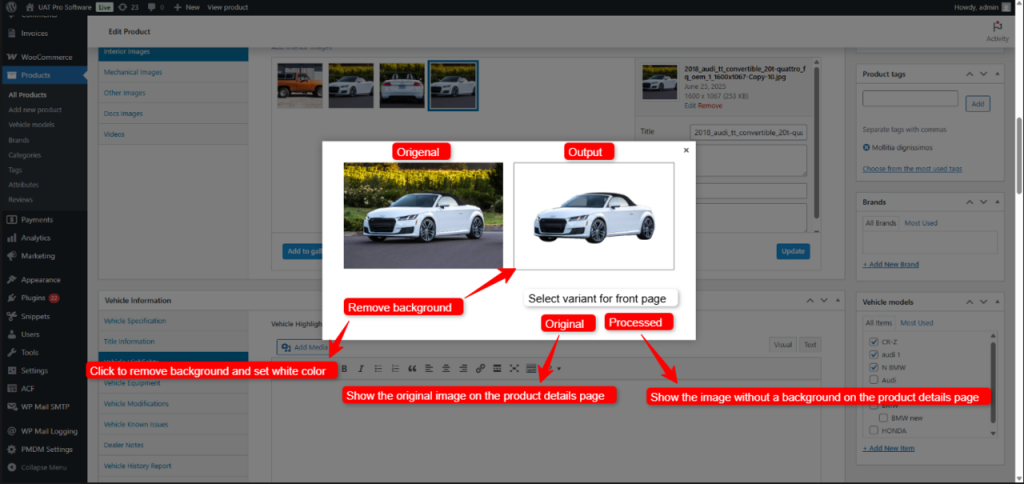 large-remove-bg-model-prototype - Ultimate Auction Pro